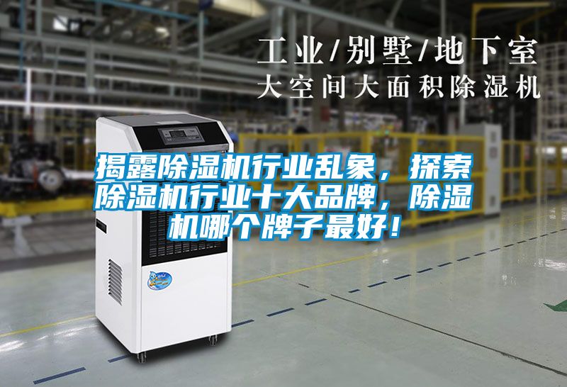揭露除濕機行業亂象，探索除濕機行業十大品牌，除濕機哪個牌子最好！