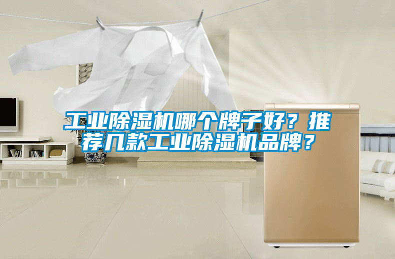工業除濕機哪個牌子好？推薦幾款工業除濕機品牌？