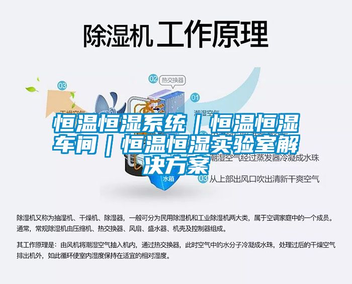 恒溫恒濕系統(tǒng)｜恒溫恒濕車(chē)間｜恒溫恒濕實(shí)驗(yàn)室解決方案