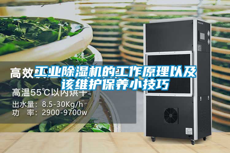 工業(yè)除濕機的工作原理以及該維護保養(yǎng)小技巧