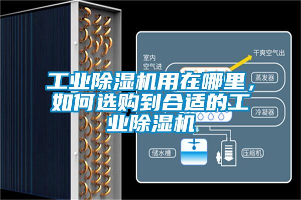 工業(yè)除濕機用在哪里，如何選購到合適的工業(yè)除濕機