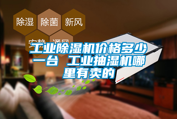 工業(yè)除濕機(jī)價(jià)格多少一臺 工業(yè)抽濕機(jī)哪里有賣的
