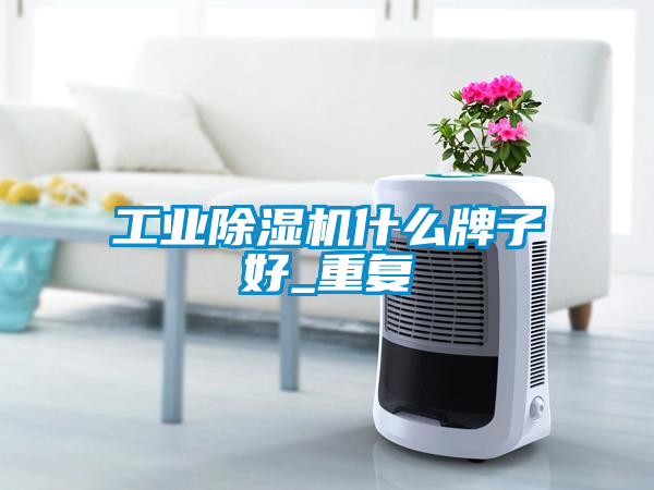 工業(yè)除濕機什么牌子好_重復