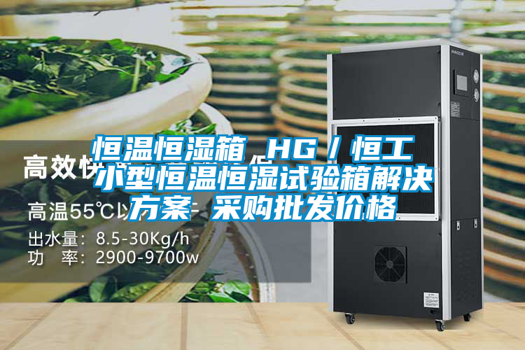 恒溫恒濕箱 HG／恒工 小型恒溫恒濕試驗箱解決方案 采購批發(fā)價格