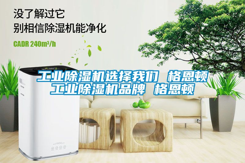 工業(yè)除濕機(jī)選擇我們 格恩頓工業(yè)除濕機(jī)品牌 格恩頓