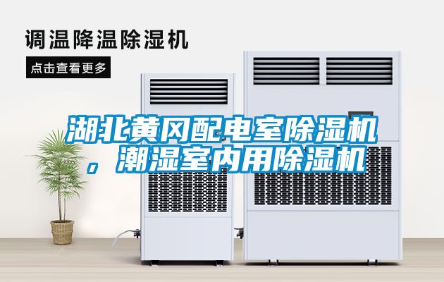 湖北黃岡配電室除濕機，潮濕室內用除濕機
