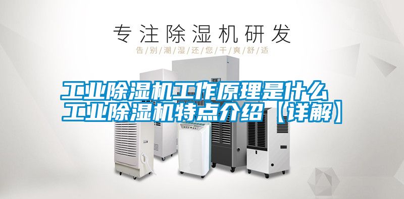 工業(yè)除濕機工作原理是什么 工業(yè)除濕機特點介紹【詳解】