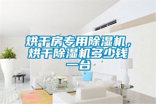 烘干房專用除濕機，烘干除濕機多少錢一臺