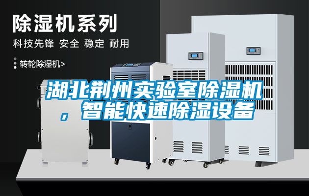 湖北荊州實驗室除濕機，智能快速除濕設備