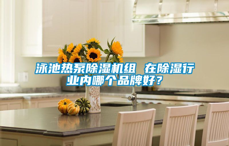 泳池?zé)岜贸凉駲C(jī)組 在除濕行業(yè)內(nèi)哪個(gè)品牌好？