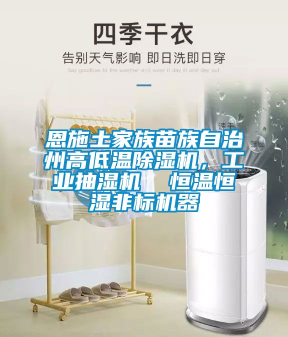 恩施土家族苗族自治州高低溫除濕機，工業抽濕機  恒溫恒濕非標機器