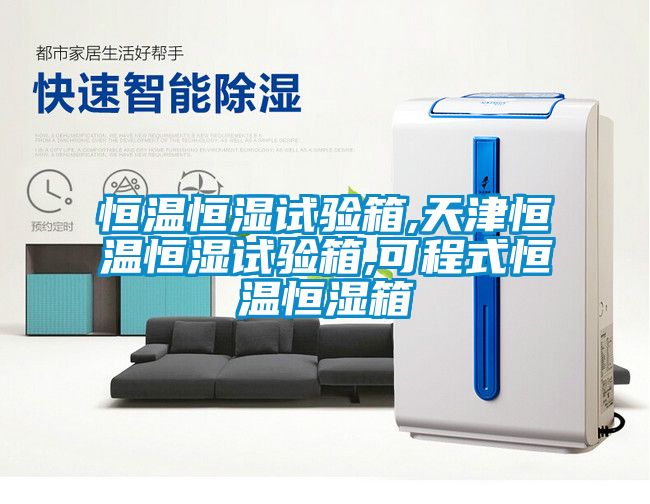 恒溫恒濕試驗(yàn)箱,天津恒溫恒濕試驗(yàn)箱,可程式恒溫恒濕箱