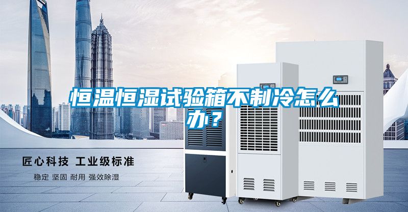 恒溫恒濕試驗箱不制冷怎么辦？