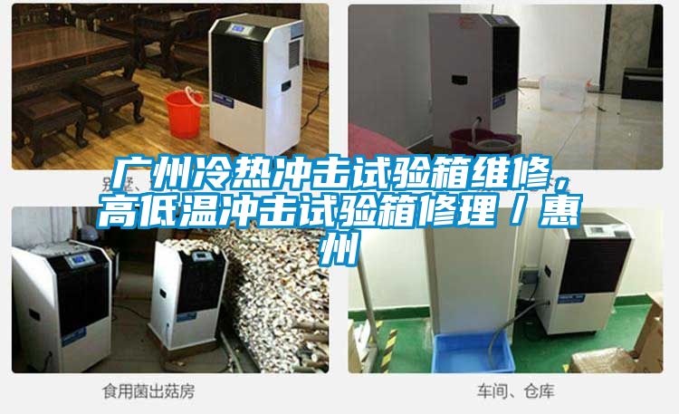 廣州冷熱沖擊試驗箱維修，高低溫沖擊試驗箱修理／惠州