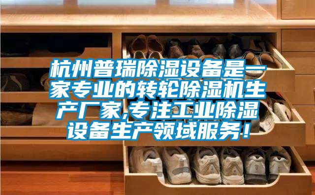 杭州普瑞除濕設備是一家專業的轉輪除濕機生產廠家,專注工業除濕設備生產領域服務！