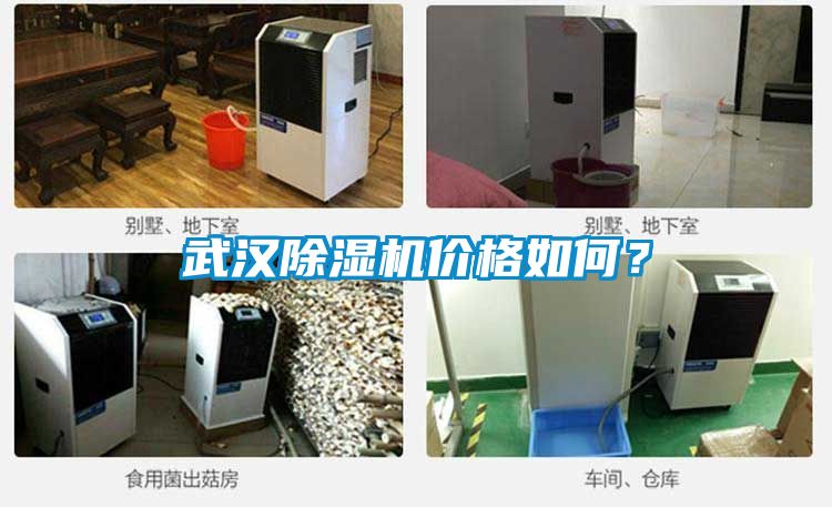 武漢除濕機價格如何？