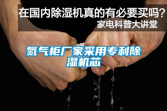 氮氣柜廠家采用專利除濕機(jī)芯