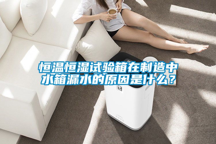 恒溫恒濕試驗(yàn)箱在制造中水箱漏水的原因是什么？