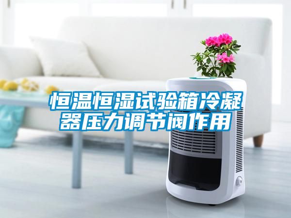 恒溫恒濕試驗(yàn)箱冷凝器壓力調(diào)節(jié)閥作用