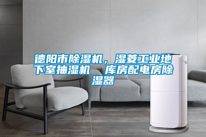 德陽市除濕機，濕菱工業地下室抽濕機  庫房配電房除濕器