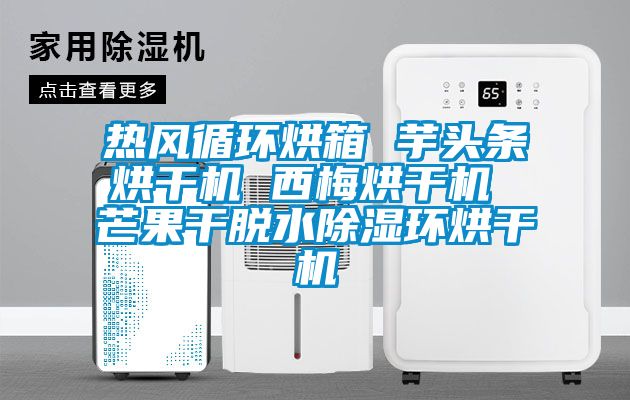 熱風(fēng)循環(huán)烘箱 芋頭條烘干機(jī) 西梅烘干機(jī) 芒果干脫水除濕環(huán)烘干機(jī)