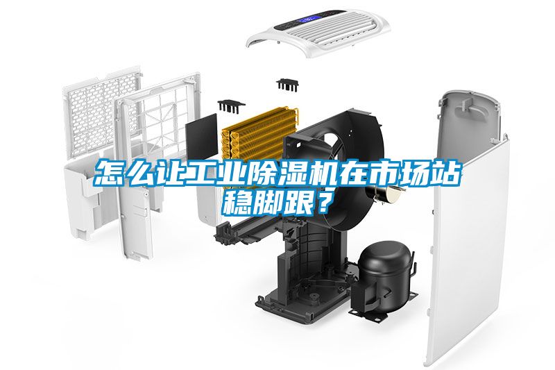 怎么讓工業(yè)除濕機(jī)在市場站穩(wěn)腳跟？