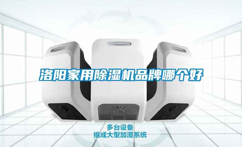 洛陽(yáng)家用除濕機(jī)品牌哪個(gè)好