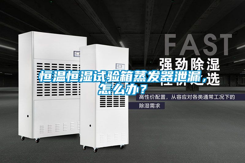 恒溫恒濕試驗箱蒸發(fā)器泄漏，怎么辦？