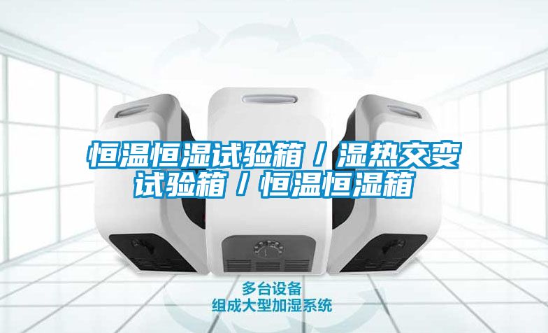 恒溫恒濕試驗(yàn)箱／濕熱交變?cè)囼?yàn)箱／恒溫恒濕箱