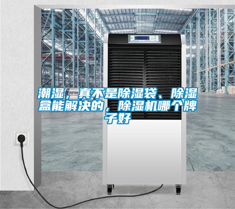 潮濕，真不是除濕袋、除濕盒能解決的，除濕機哪個牌子好