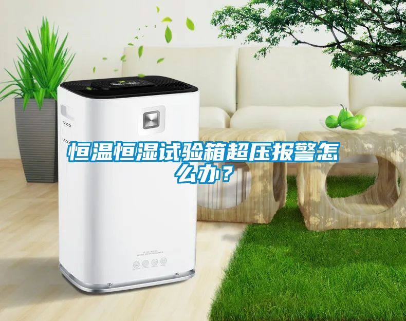 恒溫恒濕試驗箱超壓報警怎么辦？