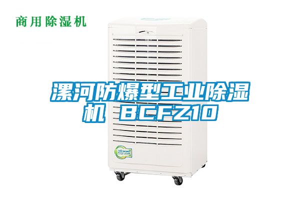 漯河防爆型工業(yè)除濕機(jī) BCFZ10