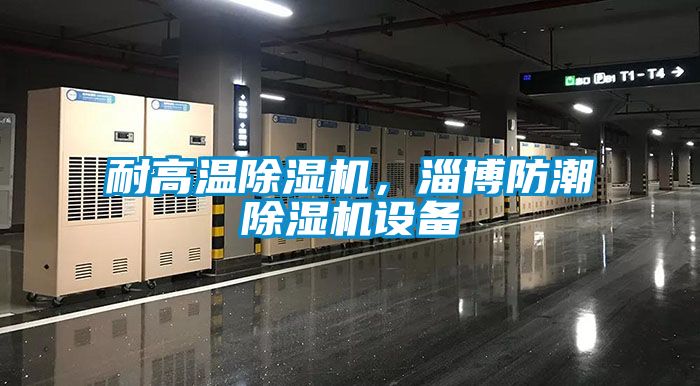 耐高溫除濕機(jī)，淄博防潮除濕機(jī)設(shè)備