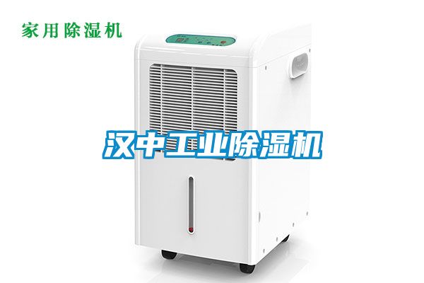 漢中工業(yè)除濕機