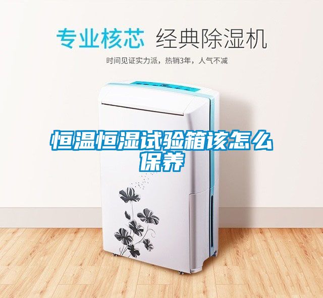 恒溫恒濕試驗(yàn)箱該怎么保養(yǎng)