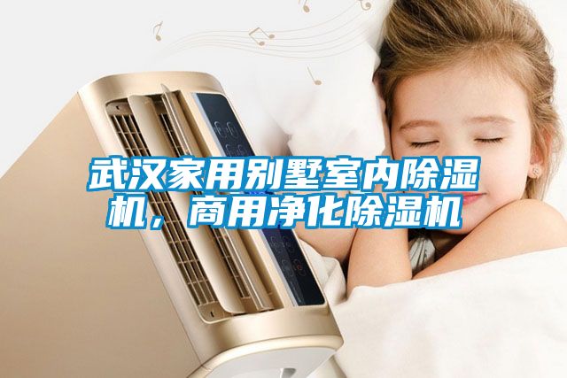 武漢家用別墅室內除濕機，商用凈化除濕機