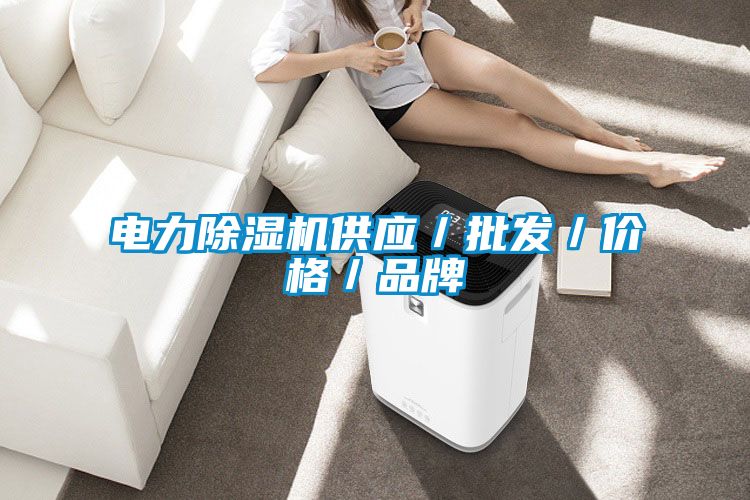 電力除濕機供應(yīng)／批發(fā)／價格／品牌