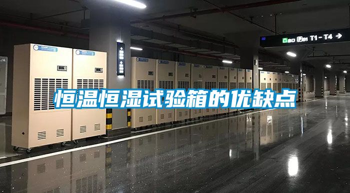 恒溫恒濕試驗(yàn)箱的優(yōu)缺點(diǎn)