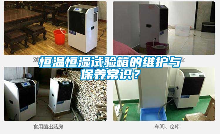 恒溫恒濕試驗箱的維護與保養常識？