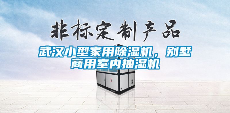 武漢小型家用除濕機，別墅商用室內抽濕機