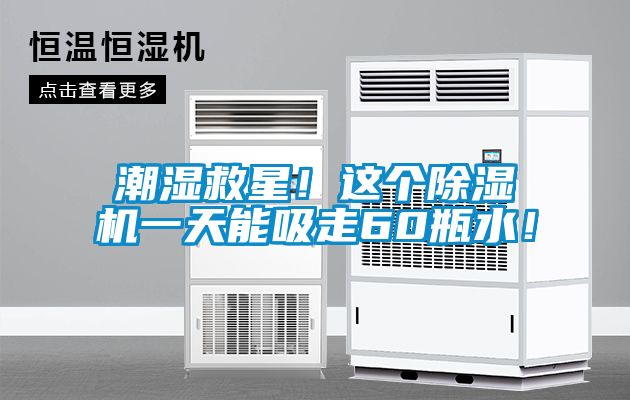 潮濕救星！這個(gè)除濕機(jī)一天能吸走60瓶水！