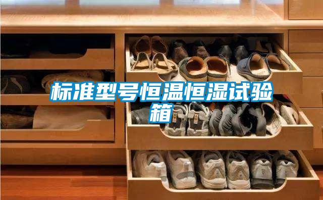 標(biāo)準(zhǔn)型號恒溫恒濕試驗(yàn)箱