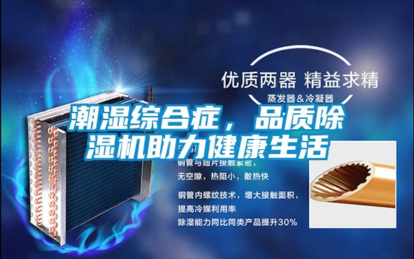 潮濕綜合癥，品質除濕機助力健康生活