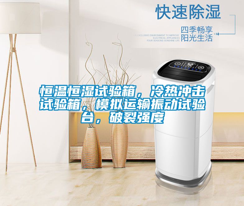 恒溫恒濕試驗箱，冷熱沖擊試驗箱，模擬運輸振動試驗臺，破裂強度