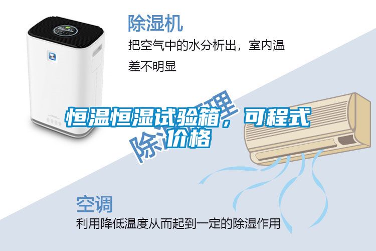 恒溫恒濕試驗(yàn)箱，可程式價(jià)格