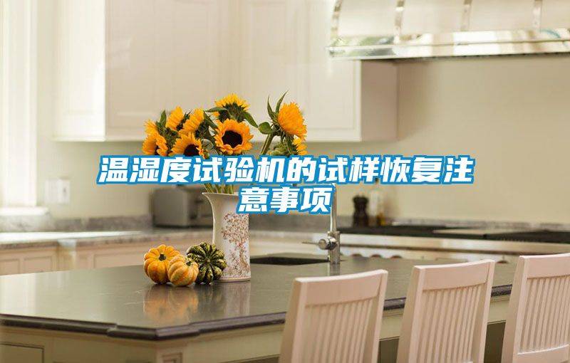 溫濕度試驗(yàn)機(jī)的試樣恢復(fù)注意事項(xiàng)