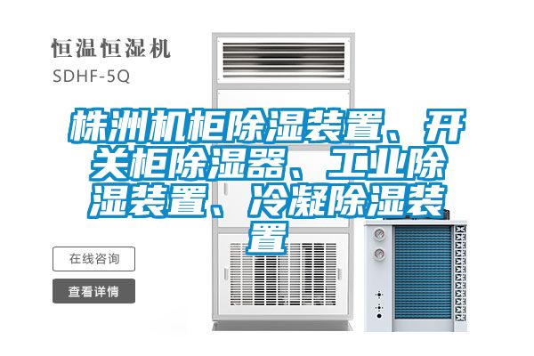 株洲機柜除濕裝置、開關柜除濕器、工業除濕裝置、冷凝除濕裝置