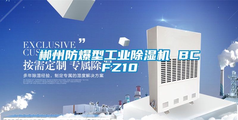 郴州防爆型工業(yè)除濕機(jī) BCFZ10
