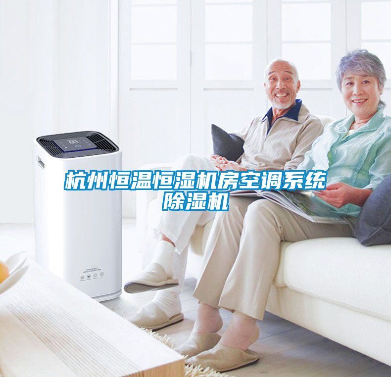 杭州恒溫恒濕機房空調(diào)系統(tǒng)除濕機