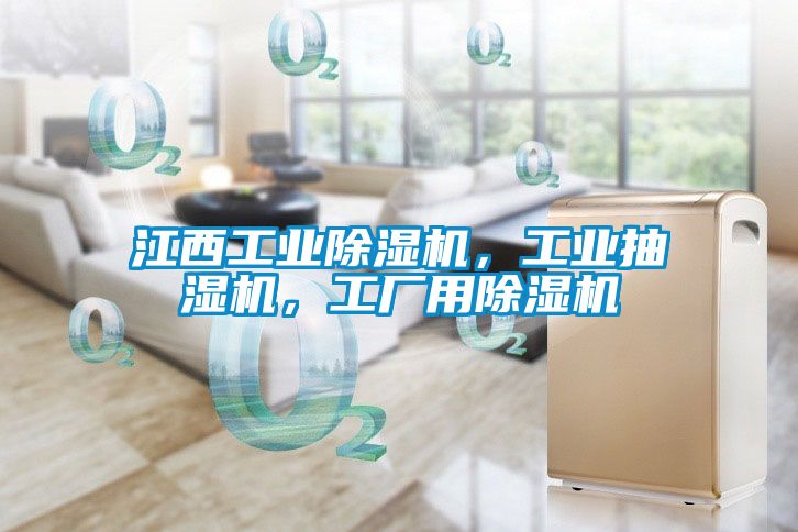 江西工業(yè)除濕機(jī)，工業(yè)抽濕機(jī)，工廠用除濕機(jī)
